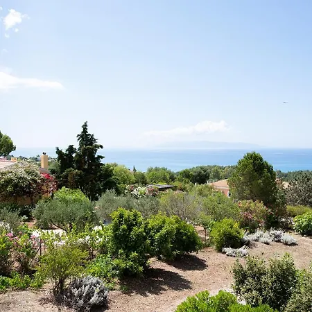 Villa Stone House In Olive Grove - Former Denis Stone *